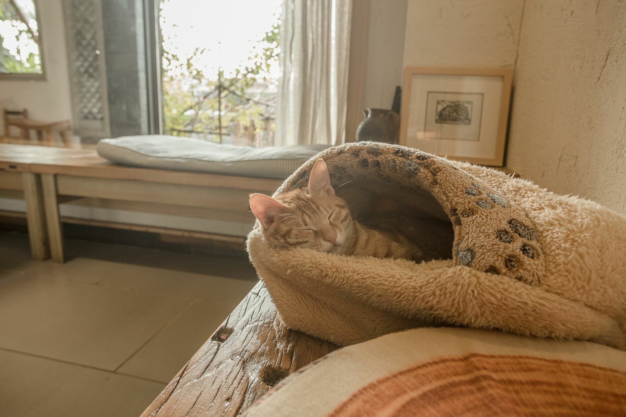 Zen Tea House Seven Stars Park Bed and Breakfast Γκουιλίν Εξωτερικό φωτογραφία